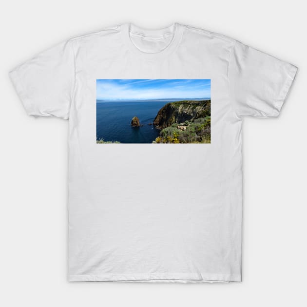 Channel Islands National Park Santa Cruz T-Shirt by supernova23